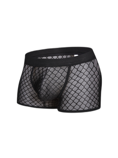 2 Pack Men's Sexy Transparent Mesh Trunks