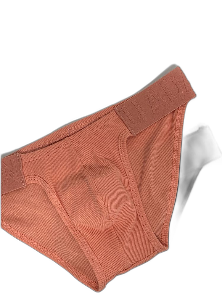 2 Pack Men's Low-Rise High-Cut Ribbed Cotton Bikini