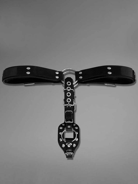 Sexy Dog Tail Anal Plug Silicone Fixing Belt