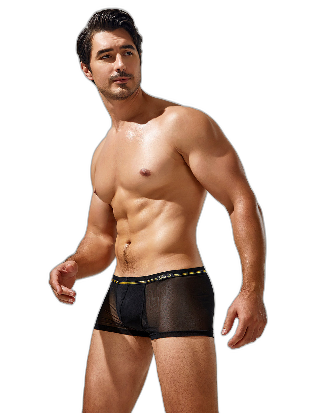 Men's Sexy Low-rise Mesh Trunks