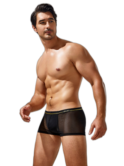 Men's Sexy Low-rise Mesh Trunks