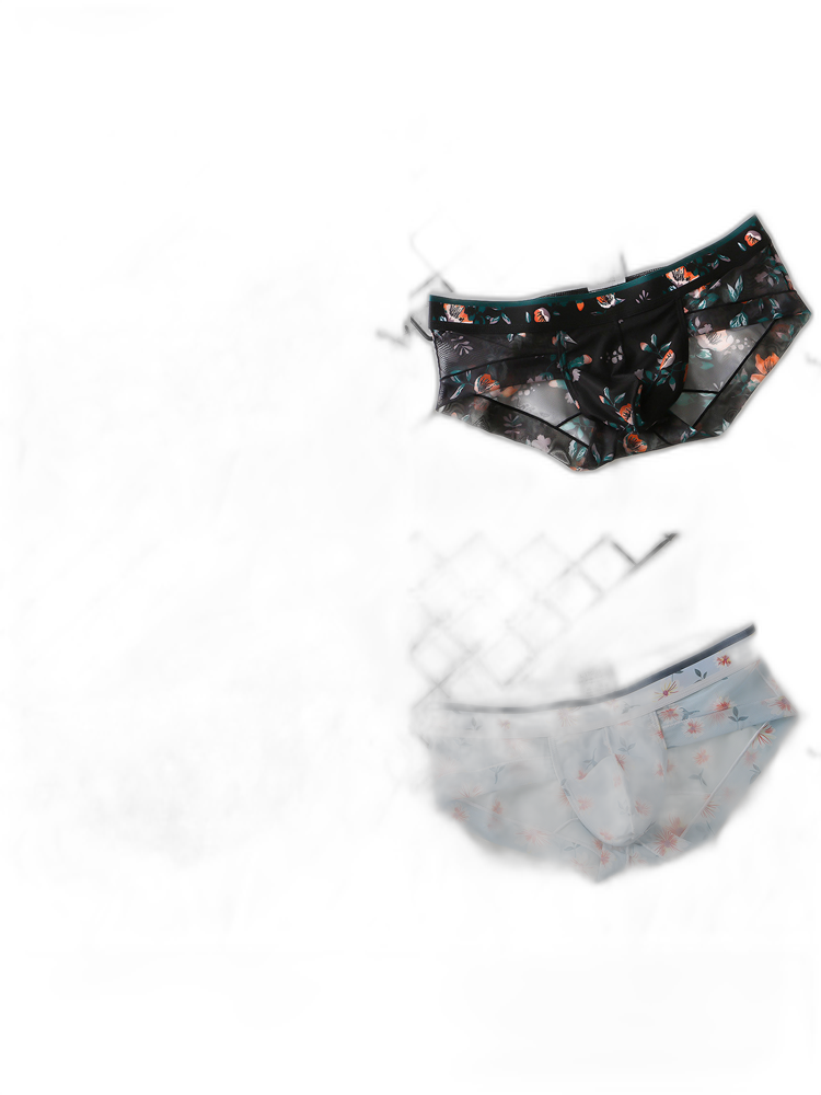 4 Pack Men’s Flower Print Pouch Briefs