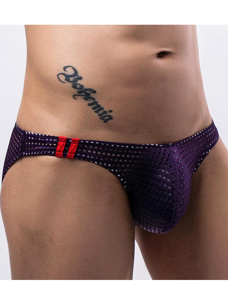 Men's Mesh Sexy Low Waist Spandex Briefs