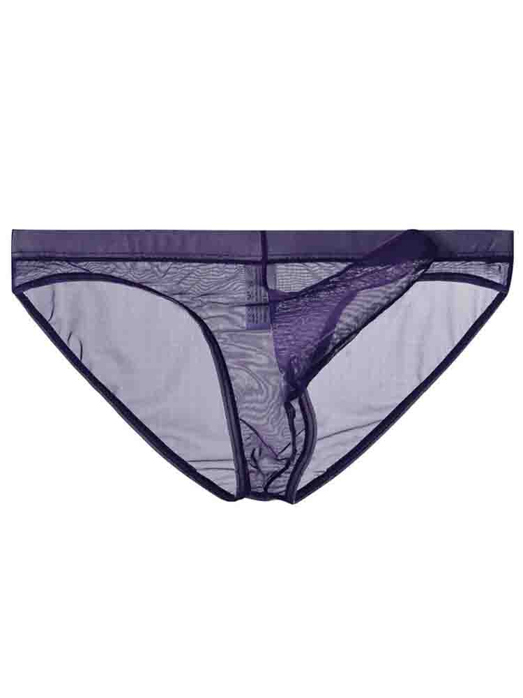 Men's Elephant Trunk Transparent Mesh Briefs
