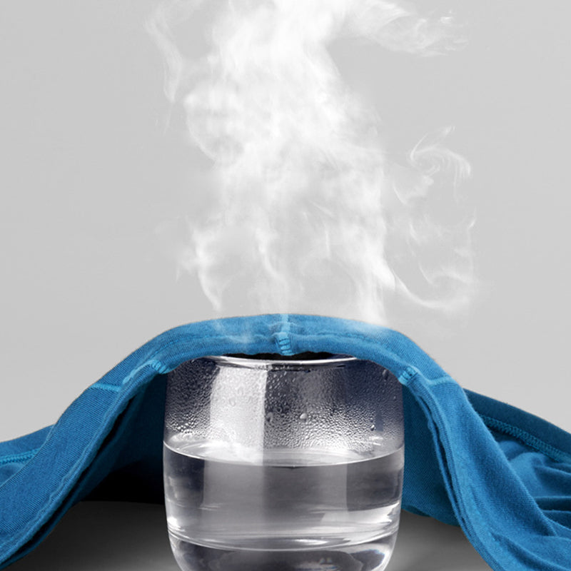 Mens Modal Ball Pouch Breathable Briefs