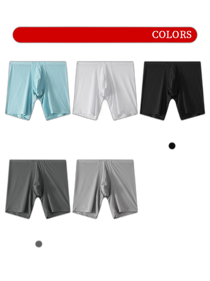2 Pack Men's Mesh Transparent Sports Fitness Loose Boxer Briefs