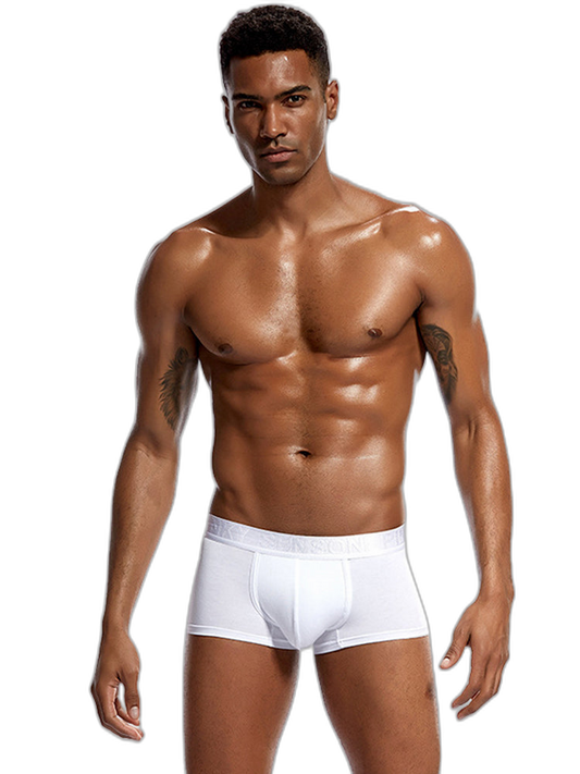 2 Pack Men's U Convex Modal Breathable Trunks