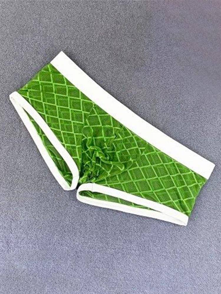 Men's Sexy Mesh See-Through Low-Rise Boxer Briefs