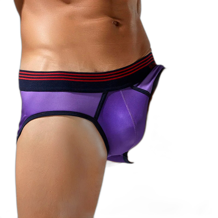 SEOBEAN Ombre Luxe Boxer Shorts