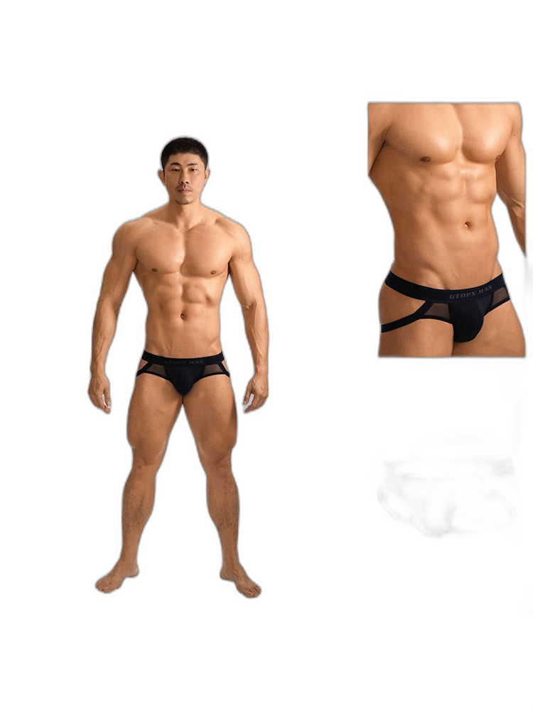2 Pack Men's Low-Rise Ice Silk Breathable Mesh Jockstrap