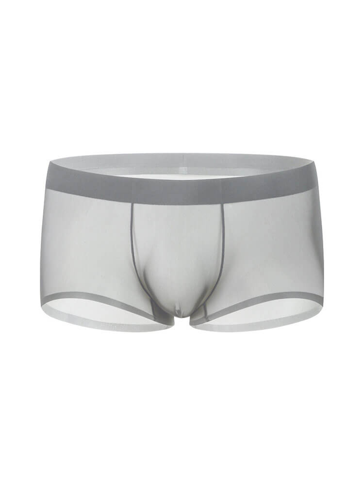 Men's Sheer Ice Silk Thin Pouch Boxer Briefs
