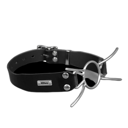 Stainless Steel Spider Gag