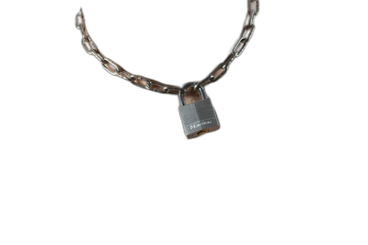 ruff GEAR Pitbull Chain 3mm with 30mm Master Lock