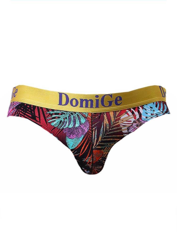 Men's Sexy Personalized Printed Ice Silk Briefs