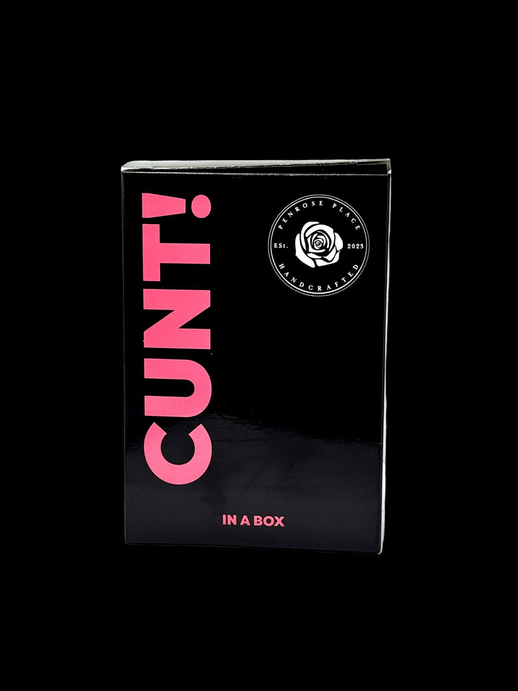 Cunt in a Box | Pumpkin Spice Pussy | Orange Candle image 2