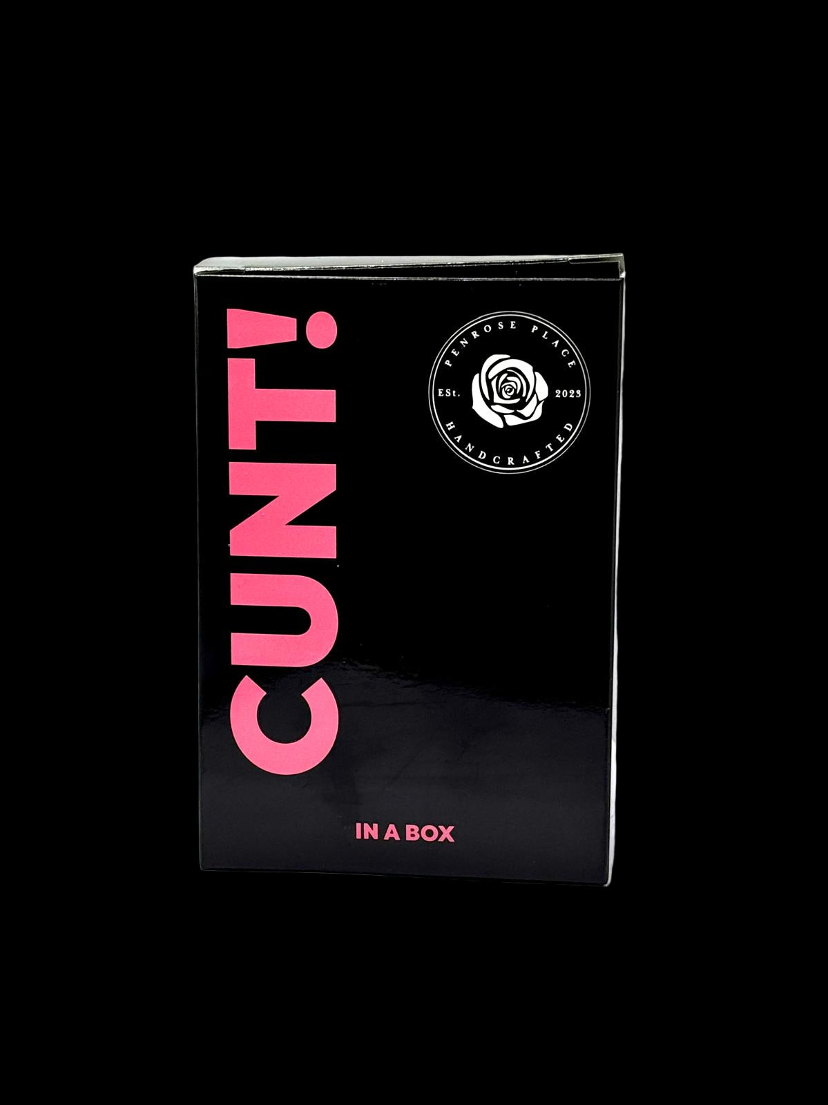 Cunt in a Box | Pumpkin Spice Pussy | Orange Candle image 2