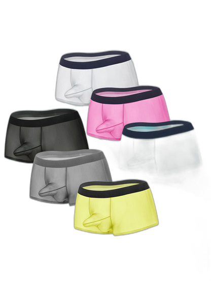 2 Pack Men's Ice Silk Separated Pouch Breathable Stretch Fit Trunks