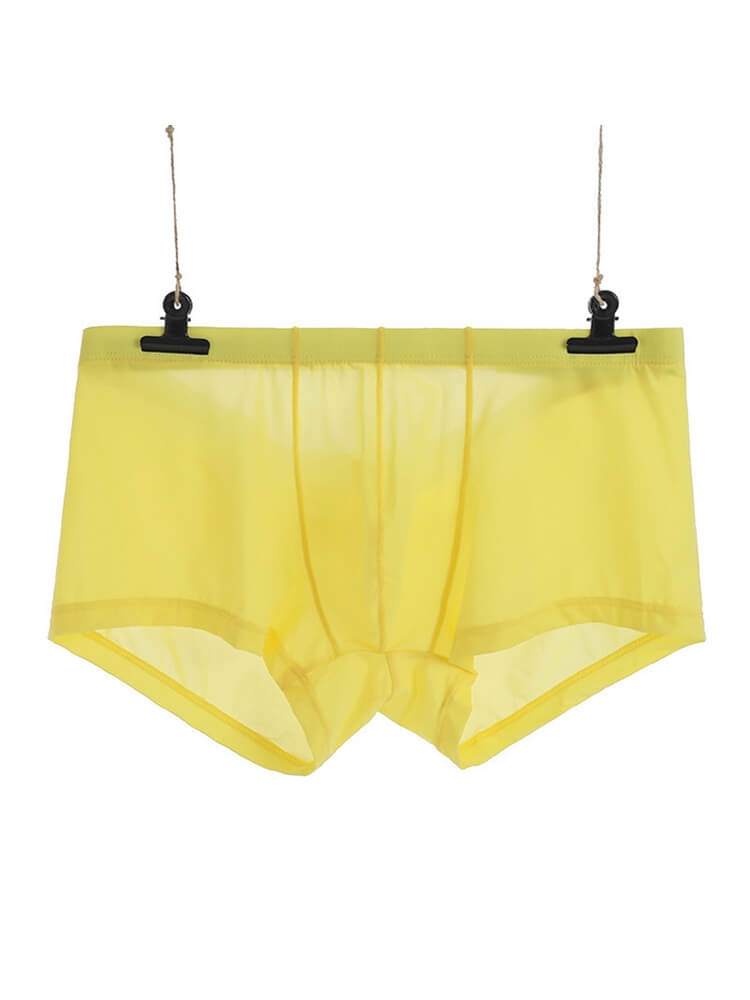 Men's Sexy Low-Rise Thin Transparent Boxer Briefs