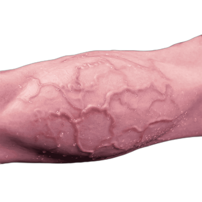 StrongBow - Silicone Centaur Dildo -  6 Sizes