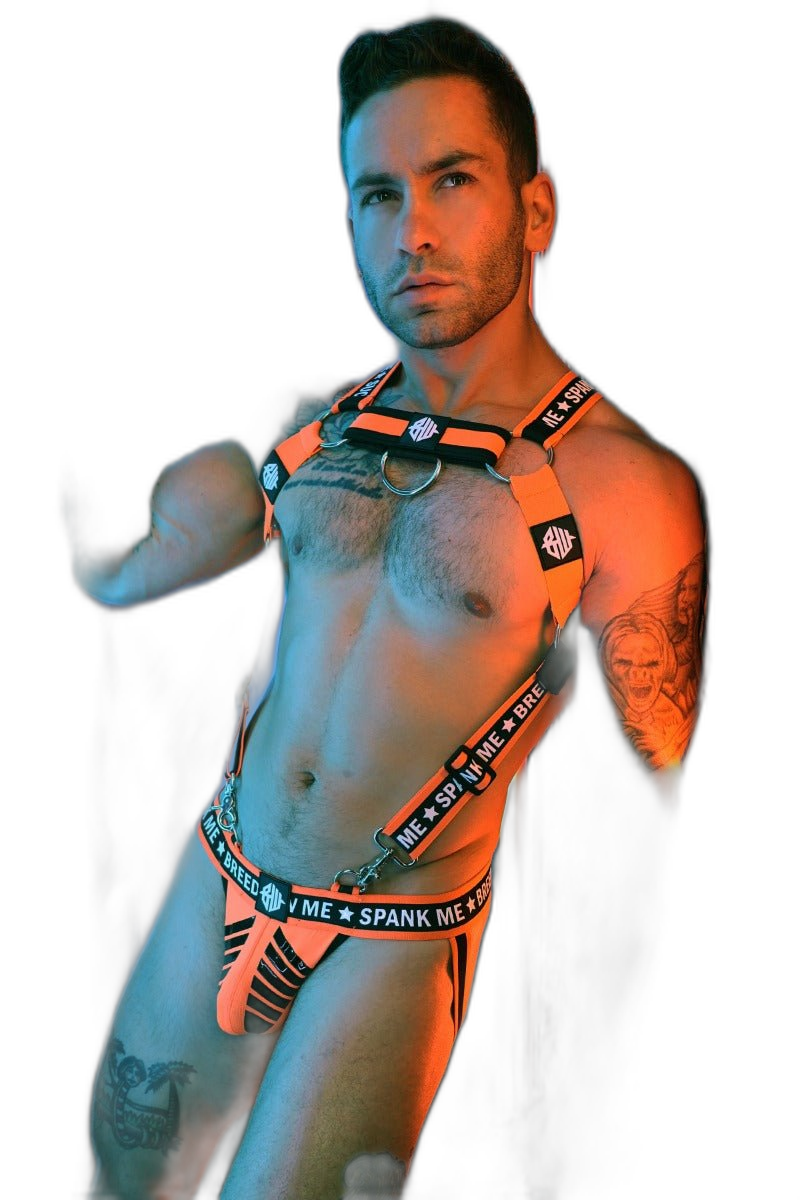 Breedwell Snax Body Harness Neon Orange