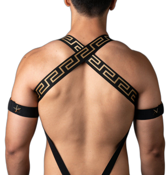 Elegant Gold Star Elastic Harness