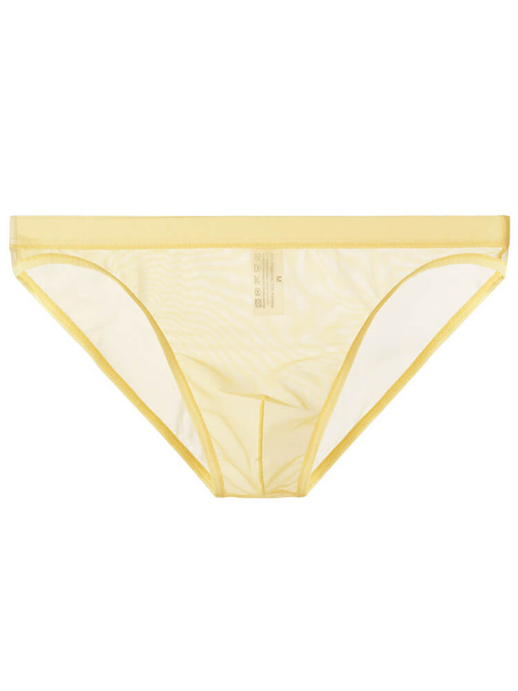 Men's Solid Color Sexy Mesh Transparent Thin Briefs