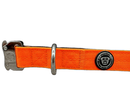 2.5cm Tactical™ Collar Orange