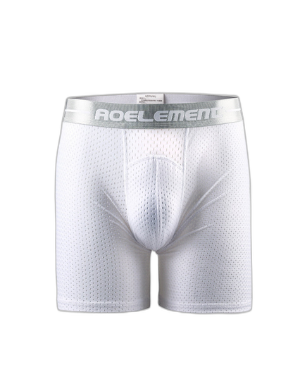 2 Pack Mesh Ice Silk Moisture Wicking Sport Boxer Underwear