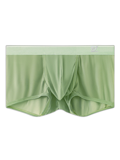 2 Pack Men's Breathable Mesh Trunks with Fly