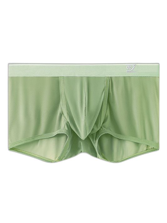2 Pack Men's Breathable Mesh Trunks with Fly
