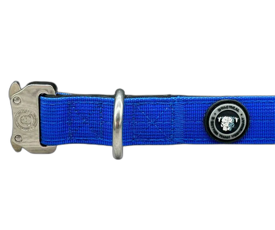 2.5cm Tactical Collar Blue
