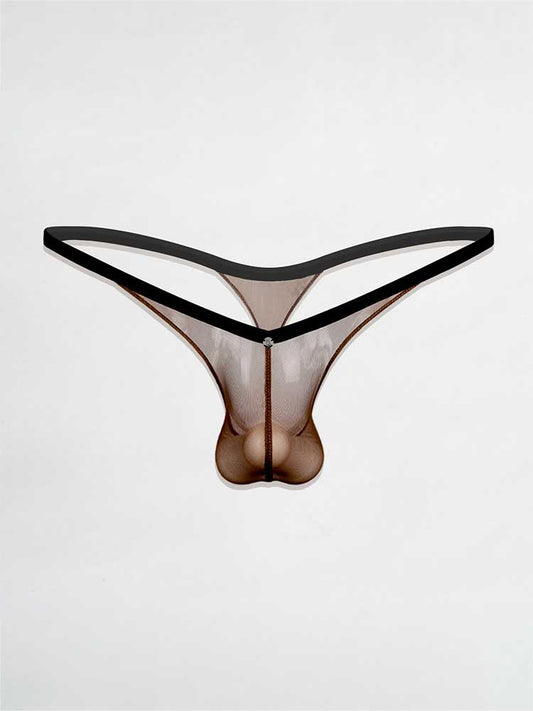 Men's Deep V Low Rise Pouch Sexy Sheer Thong