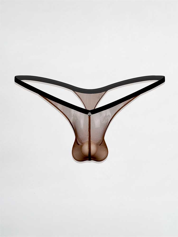 Men's Deep V Low Rise Pouch Sexy Sheer Thong