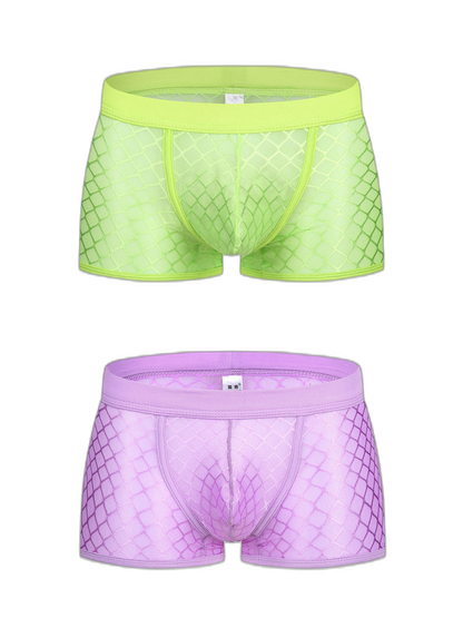2 Pack Men's Sexy Transparent Mesh Trunks