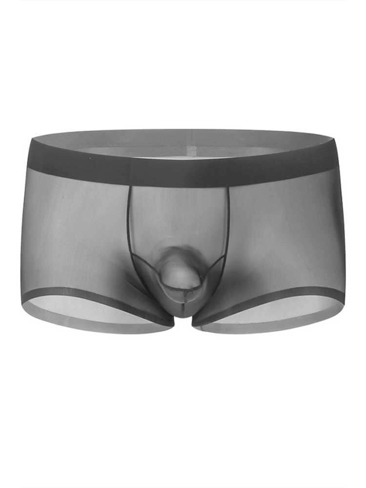 Men's Sexy Seamless Sheer Ice Silk Boxer Briefs