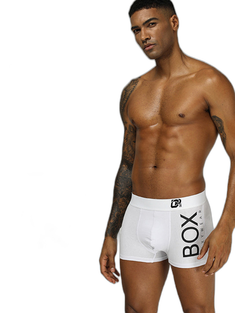 2 Pack Cotton Men's Underwear Collections