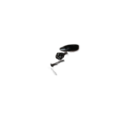 Thorn Ring