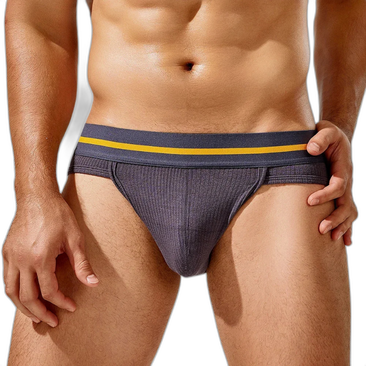Tauwell Retro Era Briefs