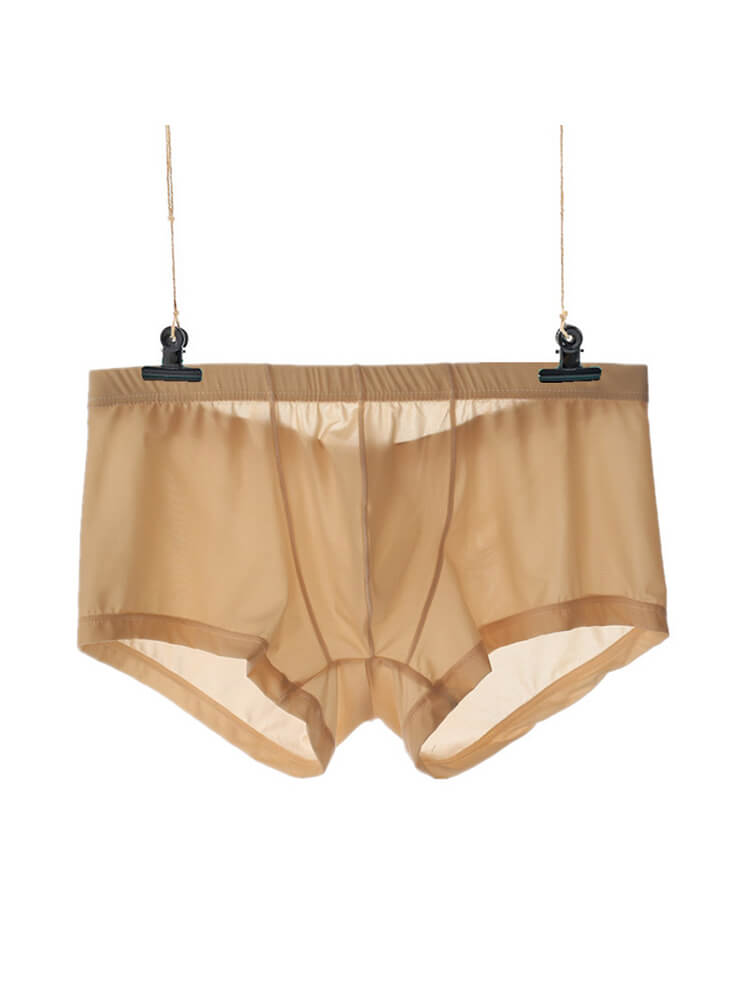Men's Sexy Low-Rise Thin Transparent Boxer Briefs