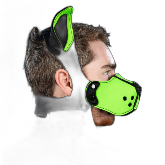 Mr S Leather Neoprene K9 Kit Muzzle Lime