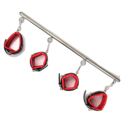Full Access Bar Restraint System