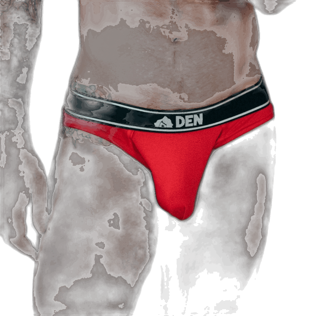 Den Hybrid Brief - Red