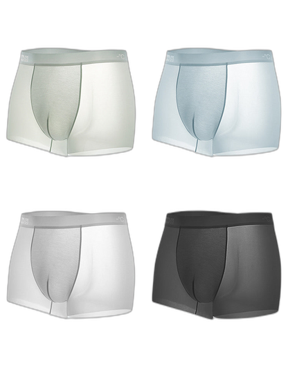 4 Pack Men's Breathable Ice Silk Antibacterial Sports Trunks