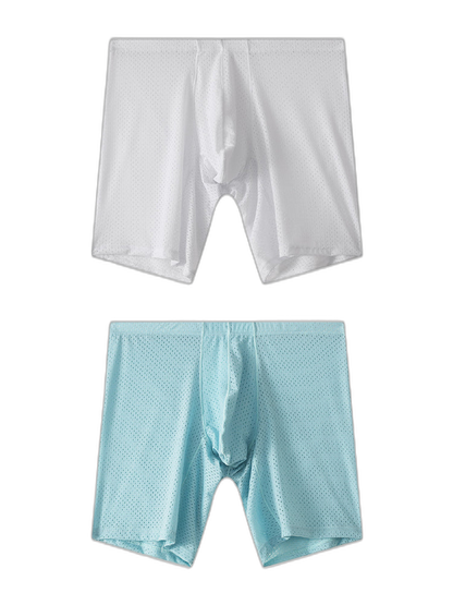 2 Pack Men's Mesh Transparent Sports Fitness Loose Boxer Briefs