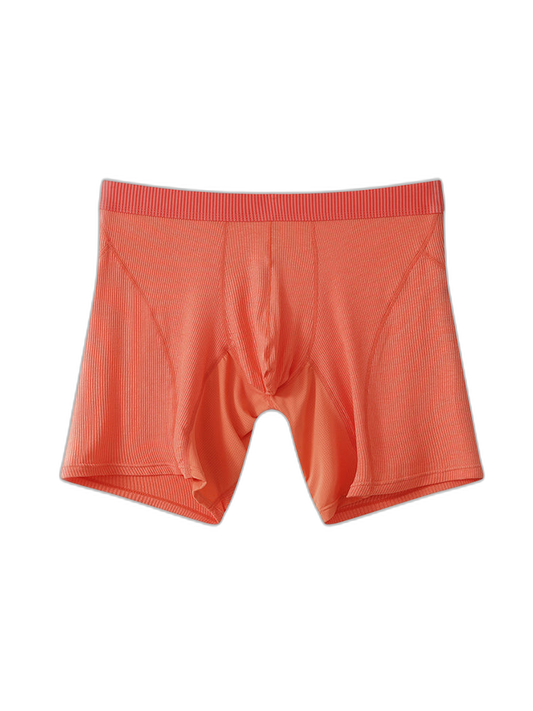 2 Pack Men’s Casual Ice Silk Midway Briefs