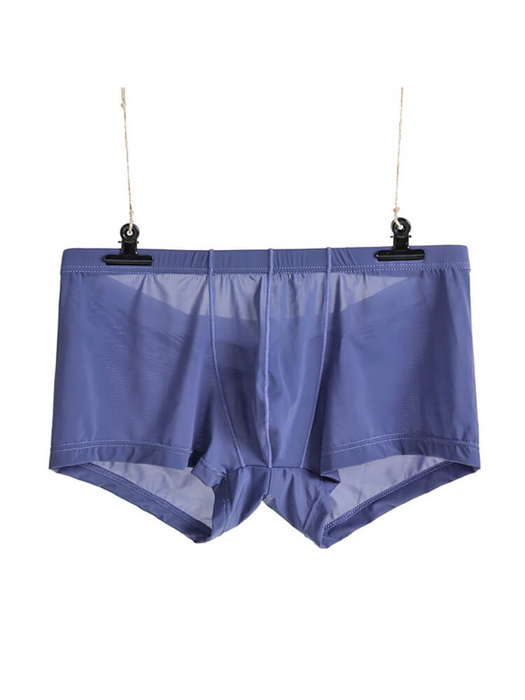 Men's Sexy Low-Rise Thin Transparent Boxer Briefs