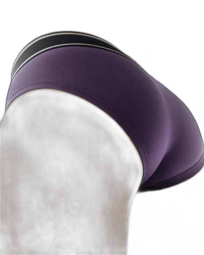 Den CORE Brief - Purple