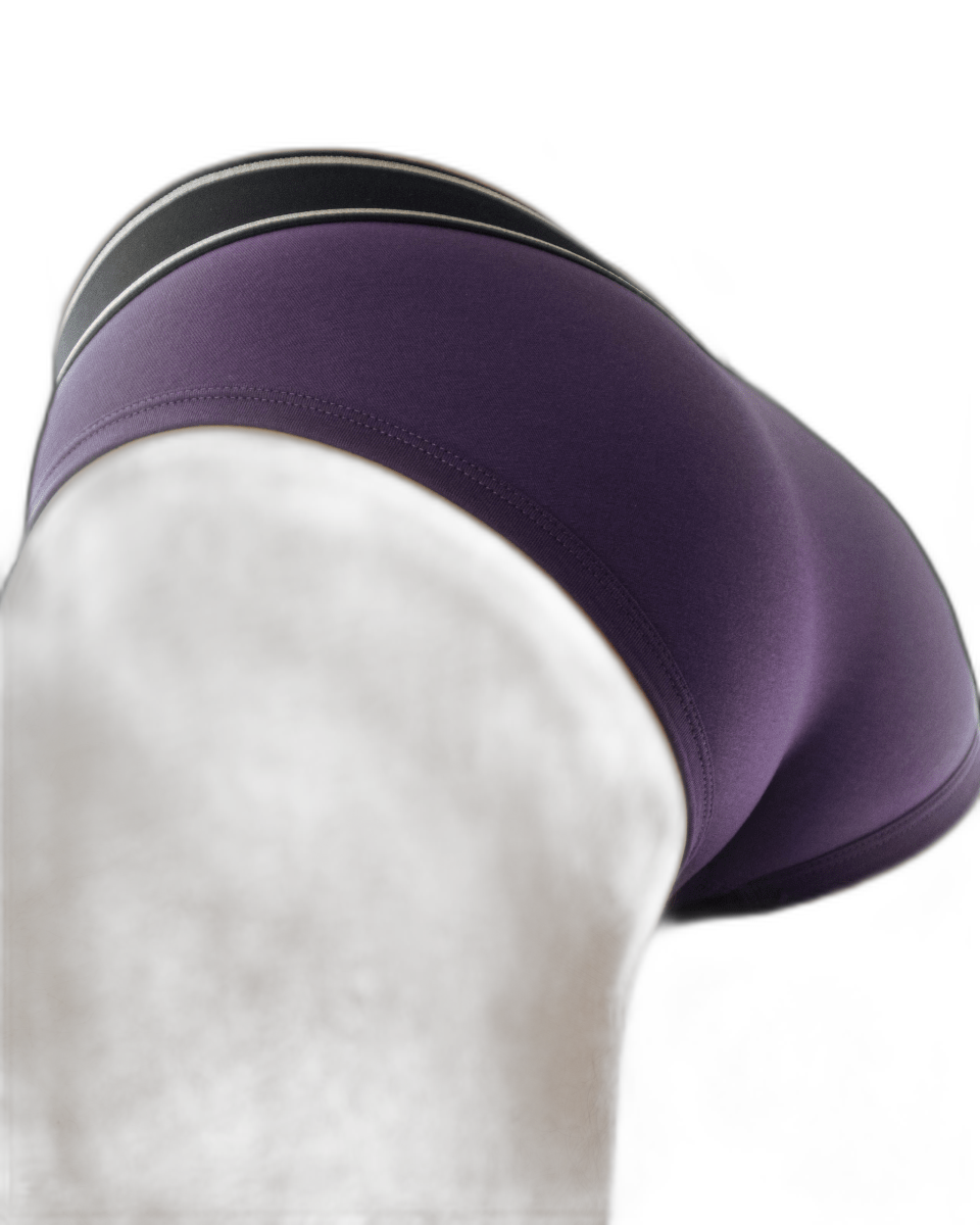 Den CORE Brief - Purple
