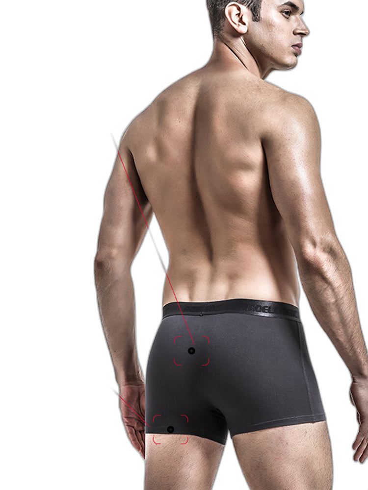 3 Pack Men's Separated Pouch Mesh Support Trunks