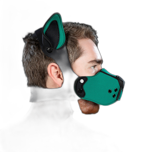 Mr S Leather Neoprene K9 Kit Ears Hunter